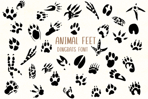 Animal Feet Font: Playful Branding for Small Businesses