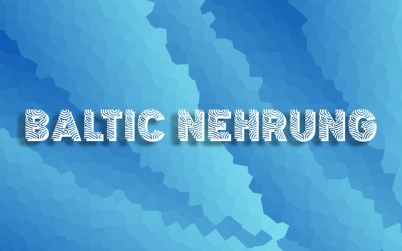 Baltic Nehrung Font: A Web Designerβs Review